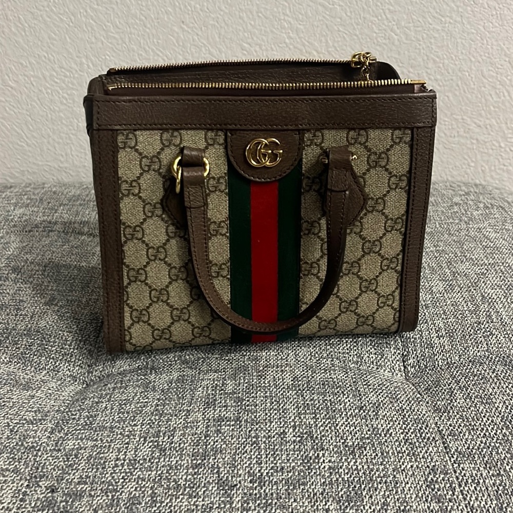 Gently used Small Ophidia Tote